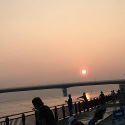 ワインドでドラゴン