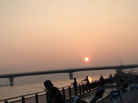 ワインドでドラゴン