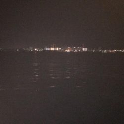 サバが、湧いてました。