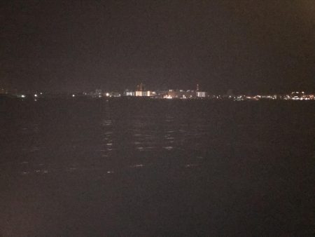 サバが、湧いてました。