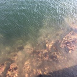 干潮潮止まり前高活性