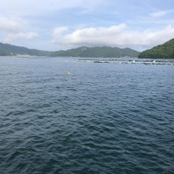 何とかかんとか