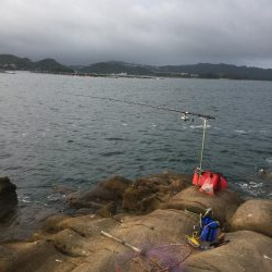 マダイがダメならグレを