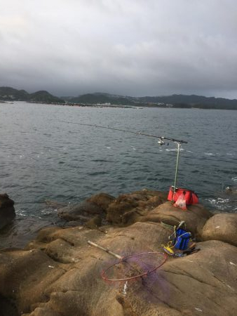 マダイがダメならグレを