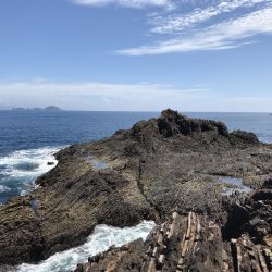 夏イカを求めて