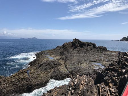 夏イカを求めて