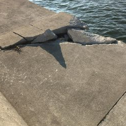 朝まずめワインド