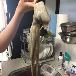 オクトパッシング