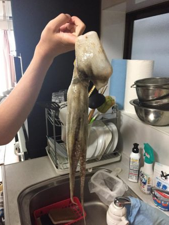 オクトパッシング