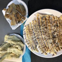 タチウオシーズン開幕宣言！！