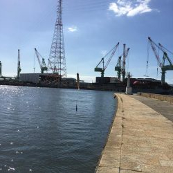 五目釣りエソ高活性笑