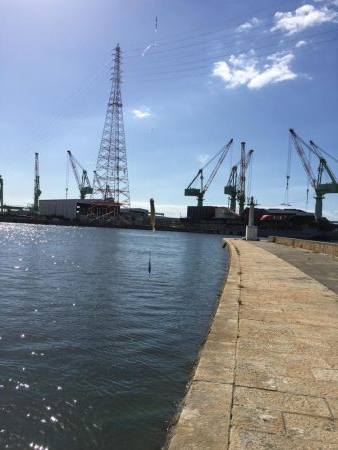 五目釣りエソ高活性笑