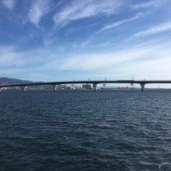 タチウオ開幕戦！とLSJで五目釣り！