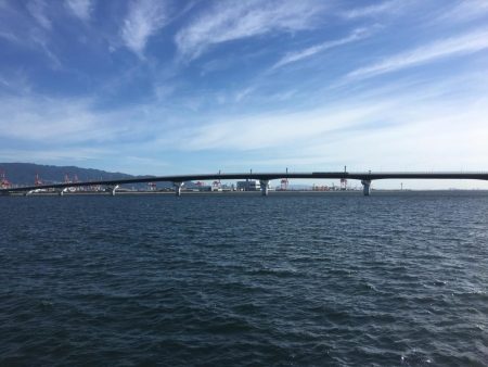 タチウオ開幕戦！とLSJで五目釣り！