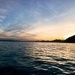 オフショアなのにショアジギロッド入魂