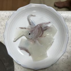 ケンサキがしぶすぎる