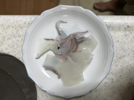 ケンサキがしぶすぎる