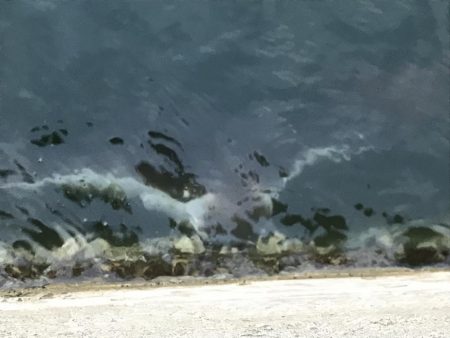 やっと豆アジ釣れた