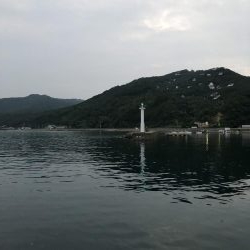 和歌山夏イカ！