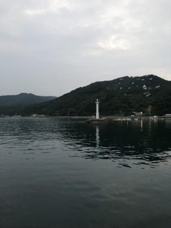 和歌山夏イカ！