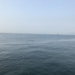 エサ取りが、多くて。