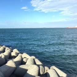 台風後のタチウオ&サゴシ!