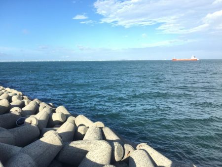 台風後のタチウオ&サゴシ!