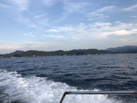 シロイカ大爆釣