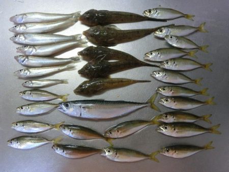 盆休み最後のファミリーフィッシング