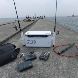 今年初タチウオ、グッドサイズ！