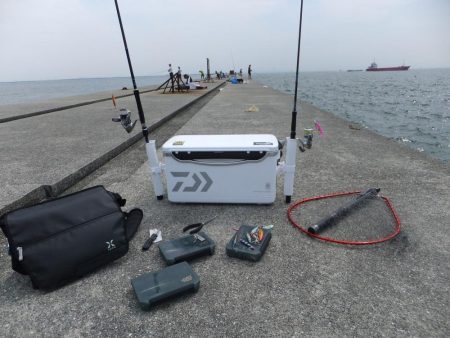 今年初タチウオ、グッドサイズ！