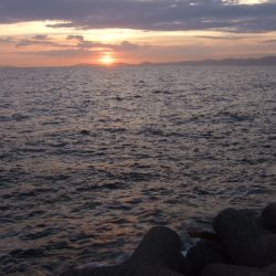 マチヌ狙いのチニング