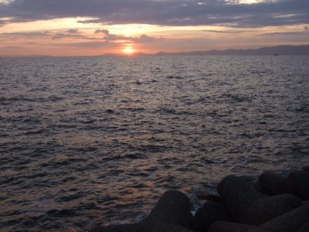 マチヌ狙いのチニング