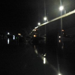 良く引きました