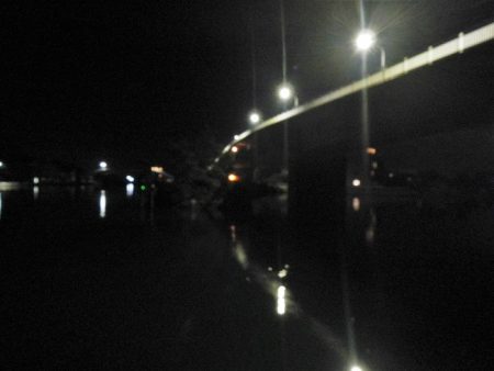 良く引きました