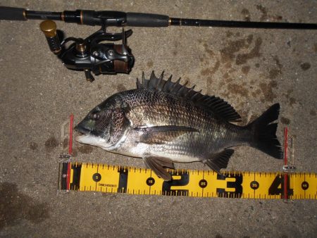 ピックアップ寸前にバスンッ♪。