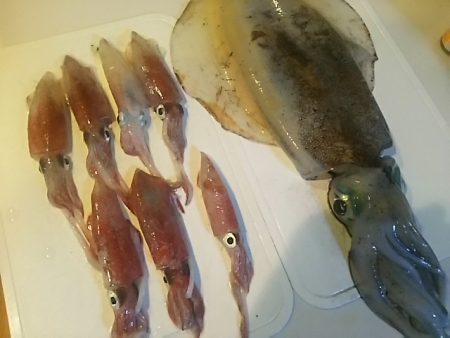 ケンサキぃょぃょスタートか!?