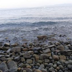 自己新！！かと思いきや