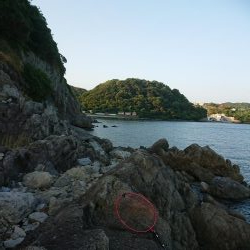 チニング&ロックフィッシュ