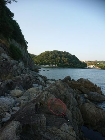 チニング&ロックフィッシュ