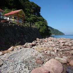 チニング&ロックフィッシュ