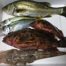 ナイトライトゲーム