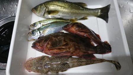 ナイトライトゲーム