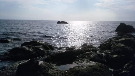 なんとかアコウ釣れました