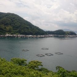 相方と久々ソルトゲーム