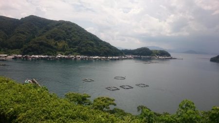 相方と久々ソルトゲーム