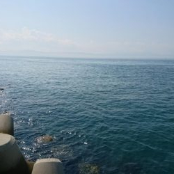 トップシーバス