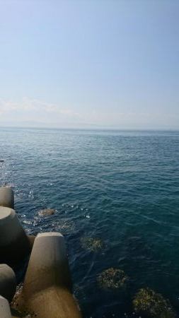 トップシーバス