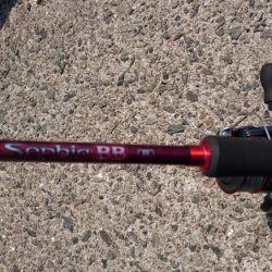 久々の大量！？