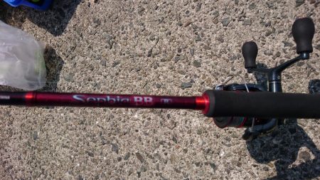 久々の大量！？